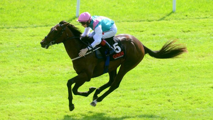 Siskin in winning action at the Curragh
