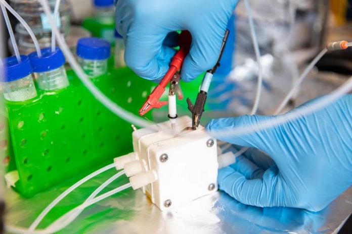 Electrolyzers Convert Waste CO2 into Commercially Valuable Chemicals