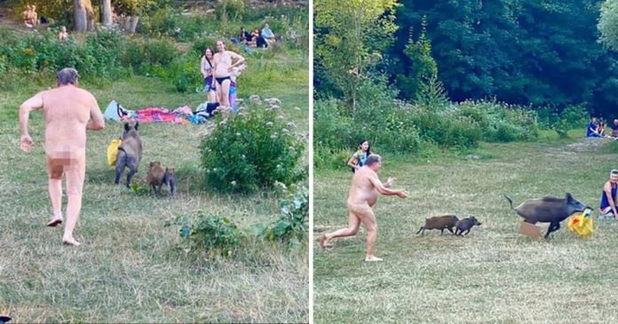 Naked sunbather chasing a wild boar