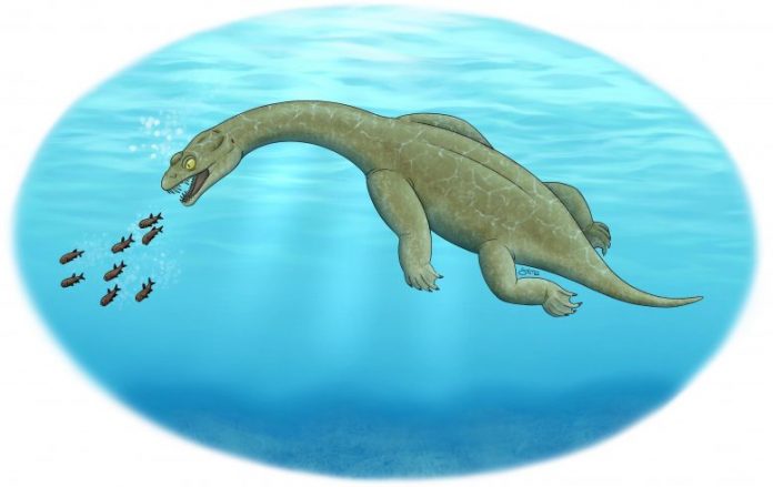 Brevicaudosaurus Illustration