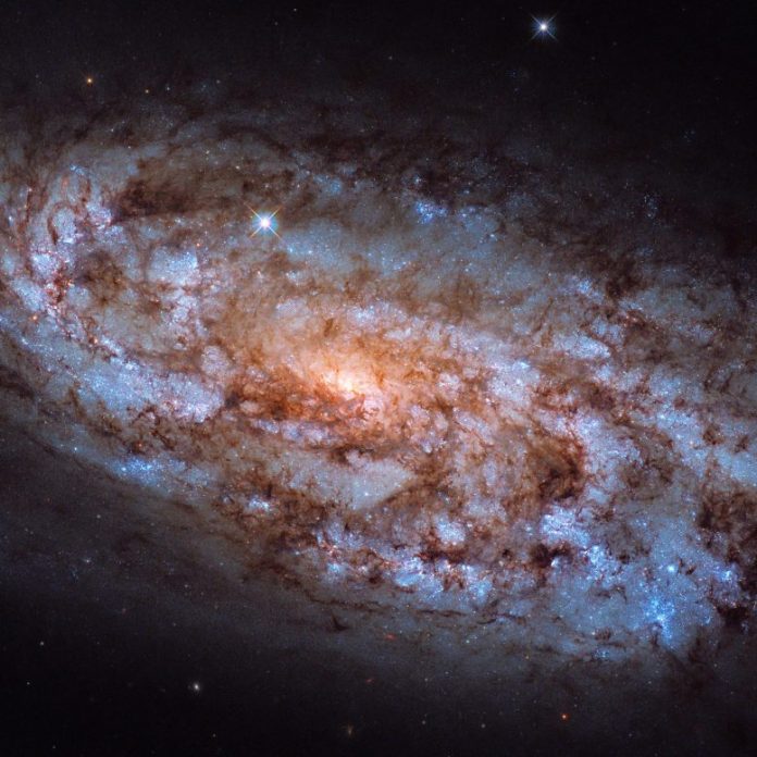 Galaxy NGC 1792 Stellar Forge