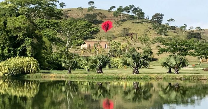 Giant vagina sculpture fuels culture wars in Brazil