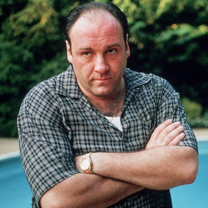 Here’s a First Look at James Gandolfini’s Son as a Young Tony Soprano - E! Online