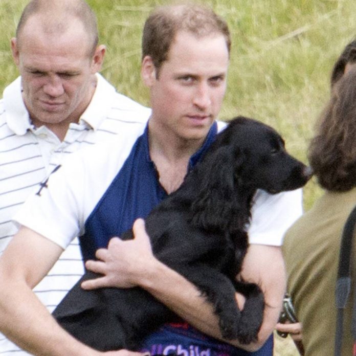 Kate Middleton and Prince William's New Puppy Will Melt Your Heart - E! Online