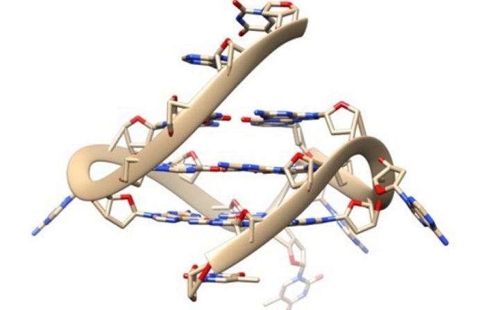 Quadruple Helix DNA Structure