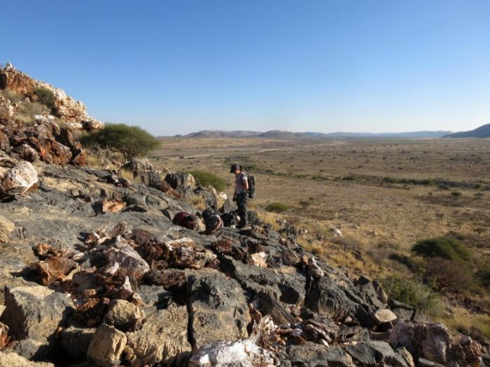 Namibia Fieldwork