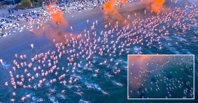 Mass nude swim in Hobart to celebrate solstice