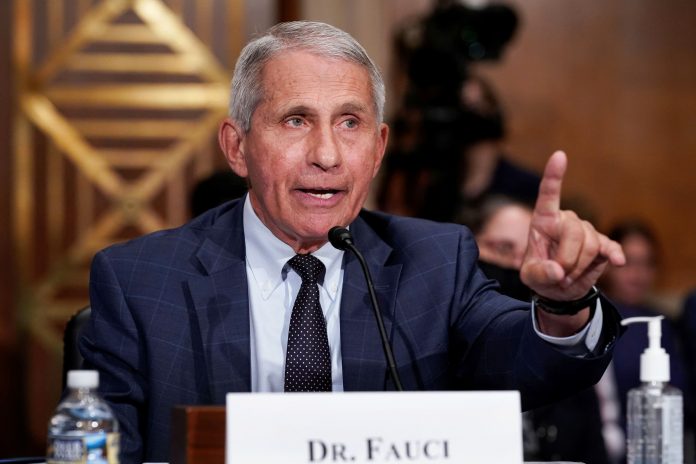 Fauci says vaccinated people 'might want to consider' wearing masks indoors