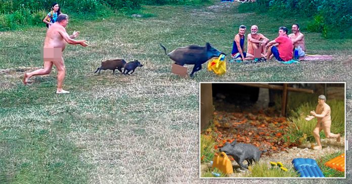 German nudist chasing wild boar that stole laptop is made into a toy