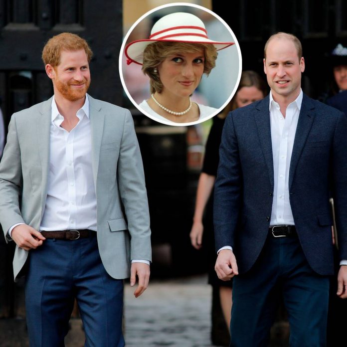 How Harry & William Have Continued to Honor Princess Diana's Legacy - E! Online
