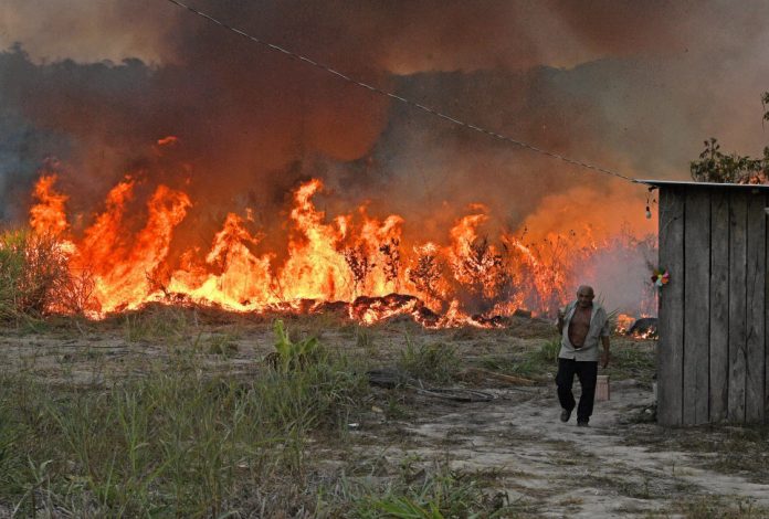 An elderly farmer who set fire to rainforest around his property walks away as the fire approaches their house in an area of Amazon rainforest, south of Novo Progresso in Para state, Brazil, on August 15, 2020. 