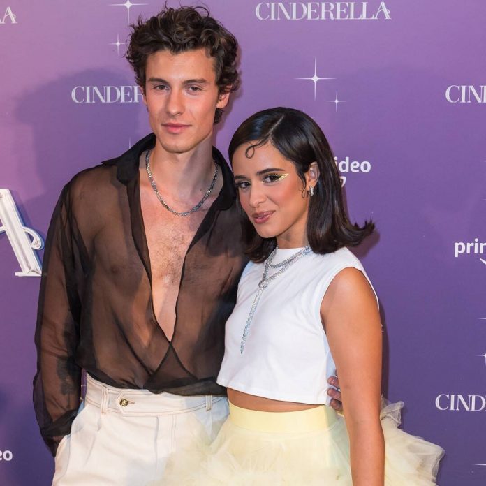 Camila Cabello and Shawn Mendes Go Edgy At Cinderella Premiere
