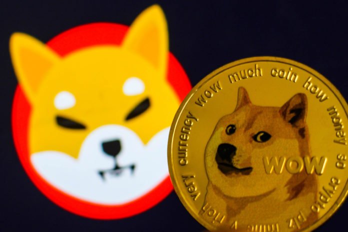 'Meme token' shiba inu hits record high, closing in on dogecoin