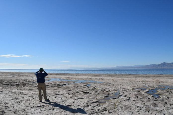 California's Salton Sea spewing toxic fumes, creating ghost towns
