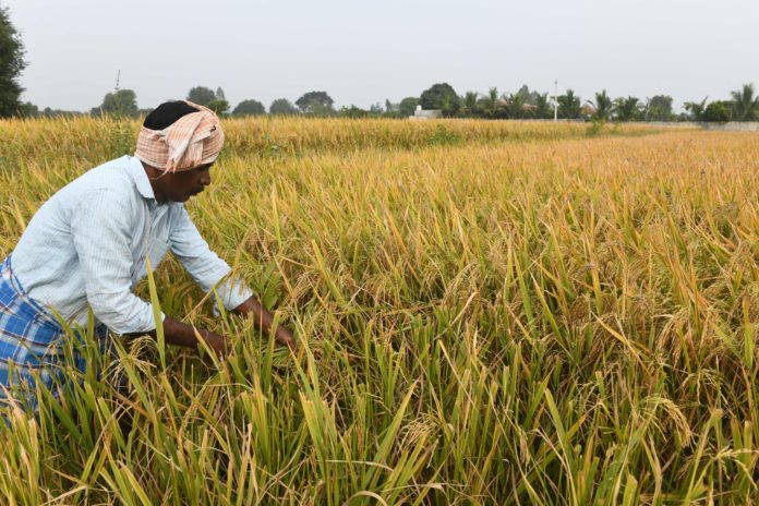India will scrap three controversial farm laws, Prime Minister Narendra Modi says
