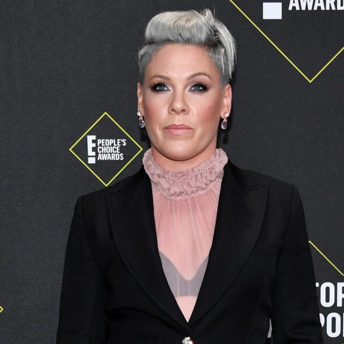 Pink Helps Dying Fan With Cancer Complete Her Bucket List