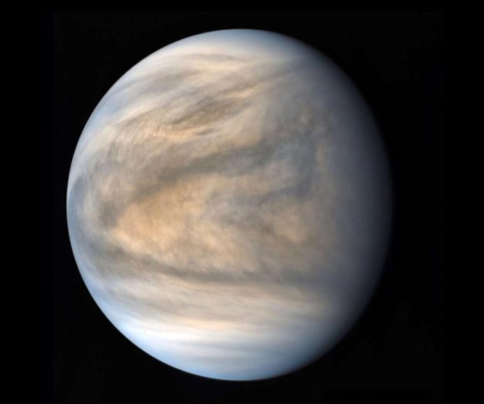 Sulfurous Venusian Cloud Cover