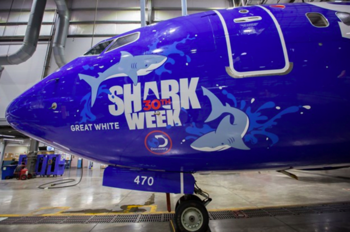 southwest-shark-week-737