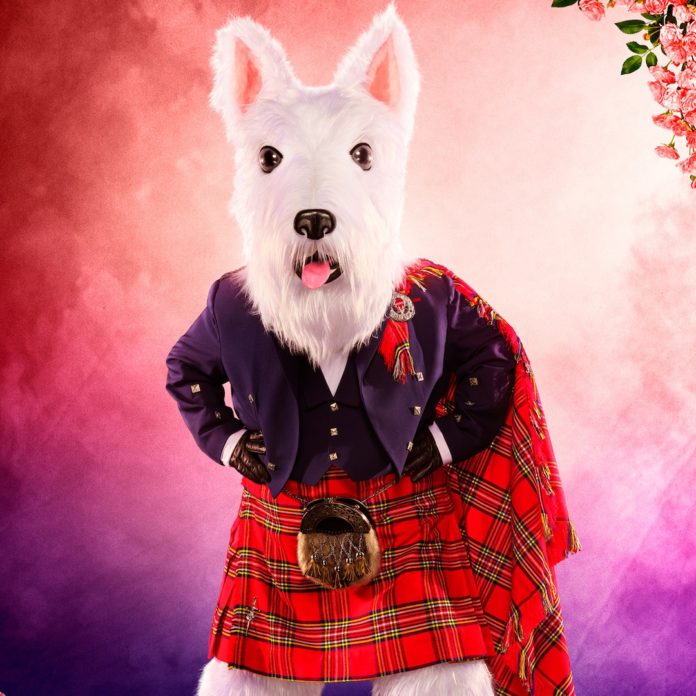 The Masked Singer Reveals Who Is Inside the Terrier Costume