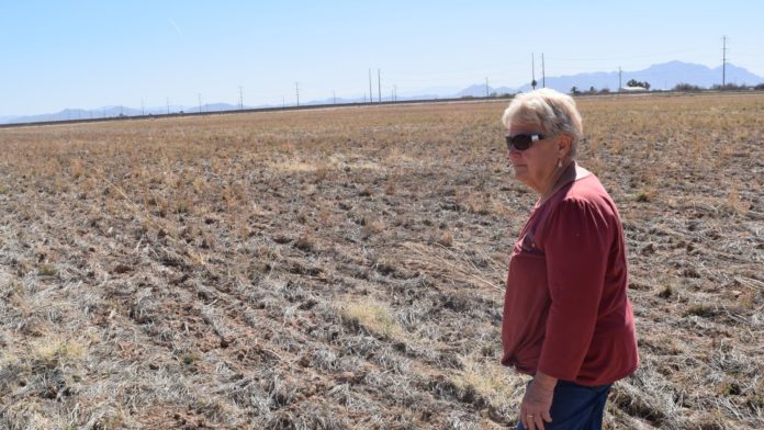 Arizona farmers are slammed by water cuts in the West amid drought