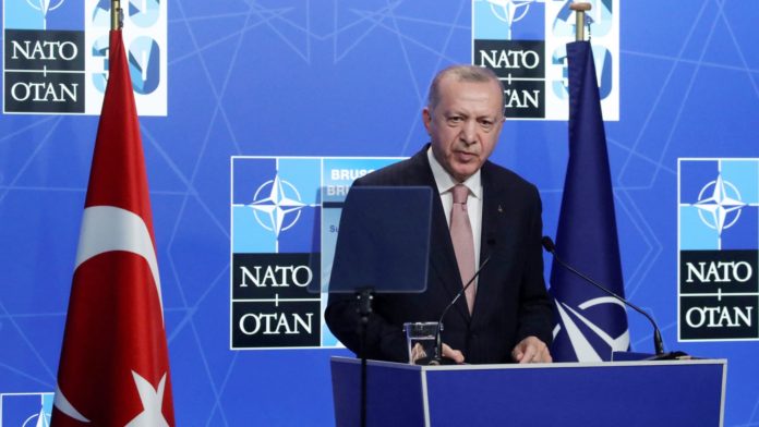 Erdogan says Turkey doesn't support Sweden, Finland joining NATO