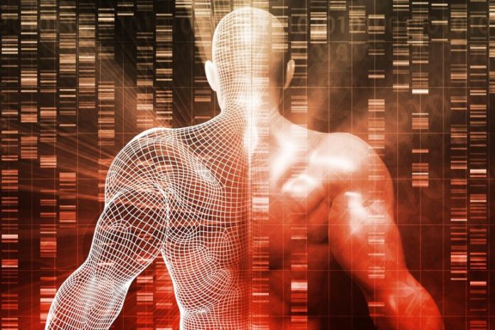 Human Genome Genetics DNA Concept