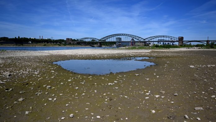 Germany's Rhine river levels running low putting economy at risk