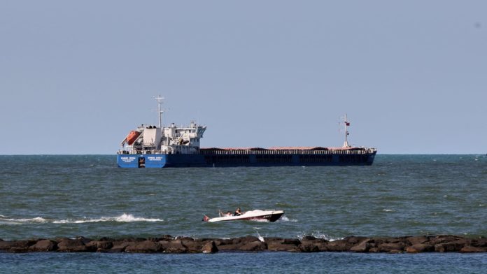 Ukraine says Russian ship carrying Ukrainian grain detained by Turkey