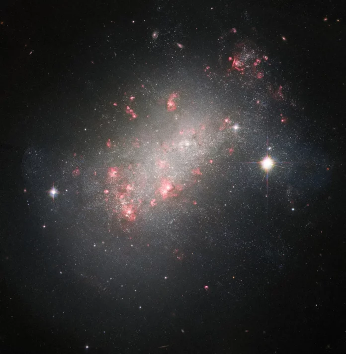 Galaxy NGC 1156