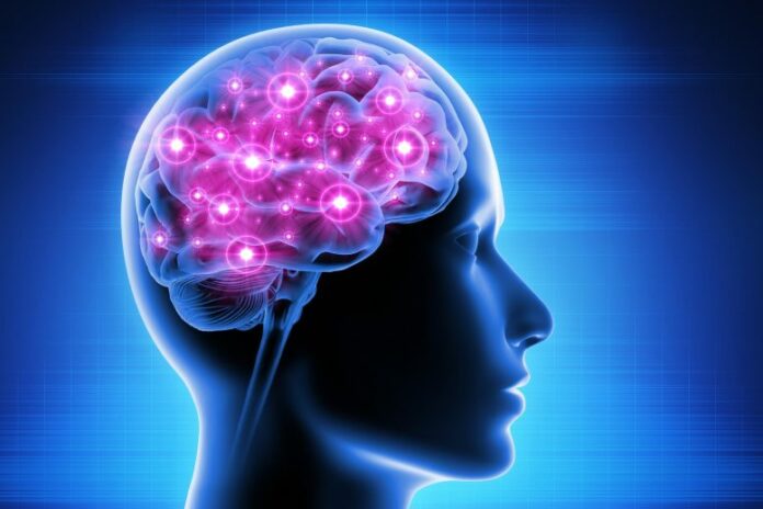 Consciousness Brain Activity