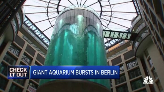 Giant aquarium with nearly 1,500 exotic fish bursts in Berlin