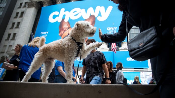 Chewy Connect With a Vet faces regulatory hurdles, skeptical veterinarians