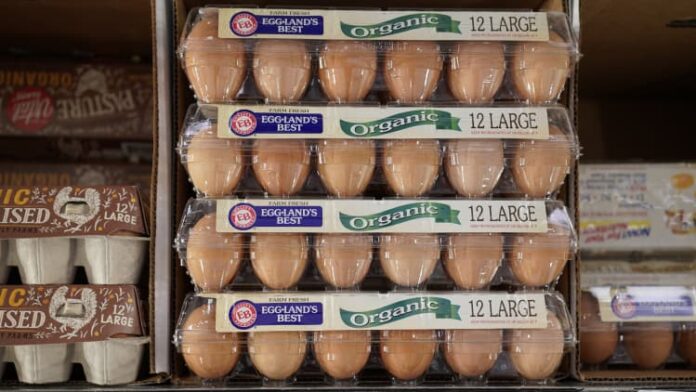 Here's why eggs cost so much