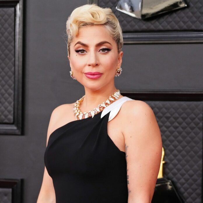 Lady Gaga Sued by Woman Charged in Connection to Dog Theft
