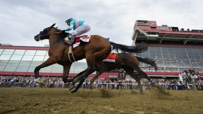 Bob Baffert's National Treasure wins Preakness, hours after another of his horses was euthanized