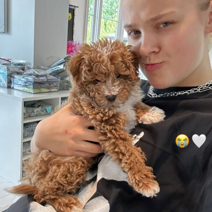 JoJo Siwa Mourns Death of Her Puppy After He Suffers Fatal Accident