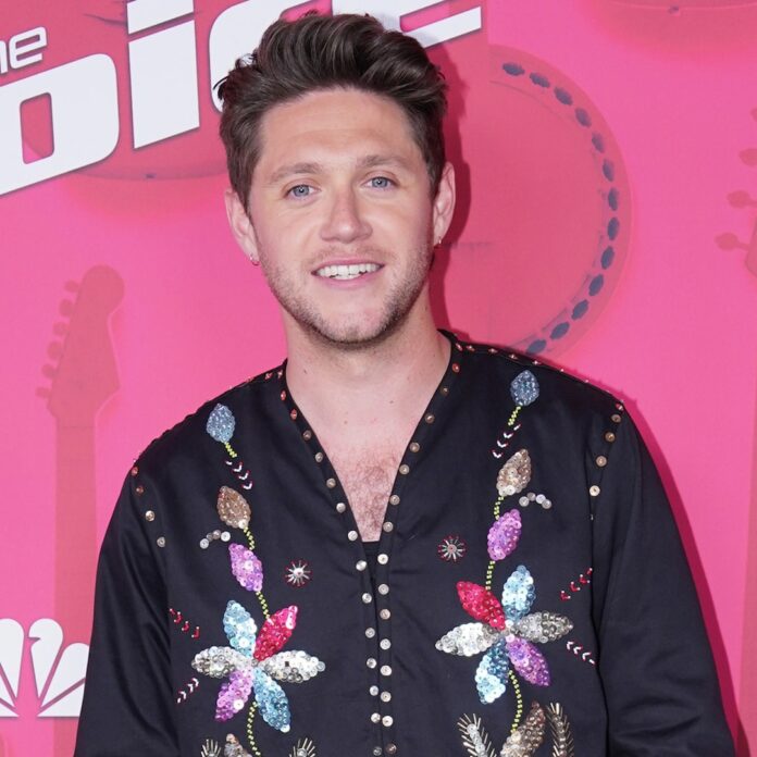 Niall Horan Giving Details About One Direction’s Group Chat Is Perfect