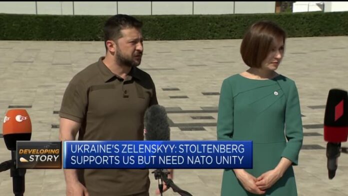Ukraine's Zelenskyy: We need NATO unity over Kyiv's membership