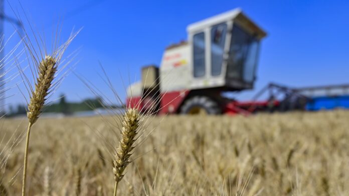 China needs Ukraine for food and could save the Black Sea grain deal