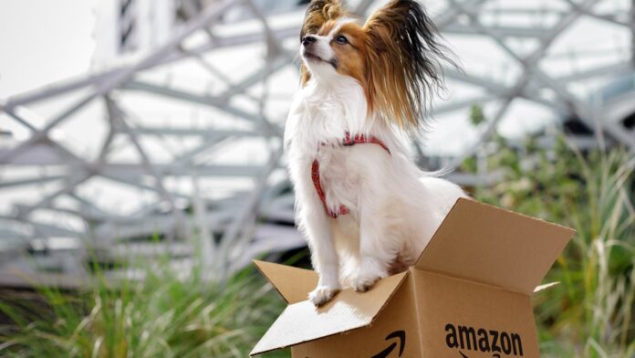Amazon considers offering veterinary telehealth in Walmart competition
